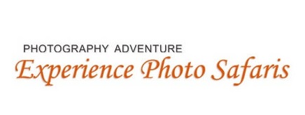 Experiencephotosafaris