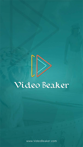 Video Breaker